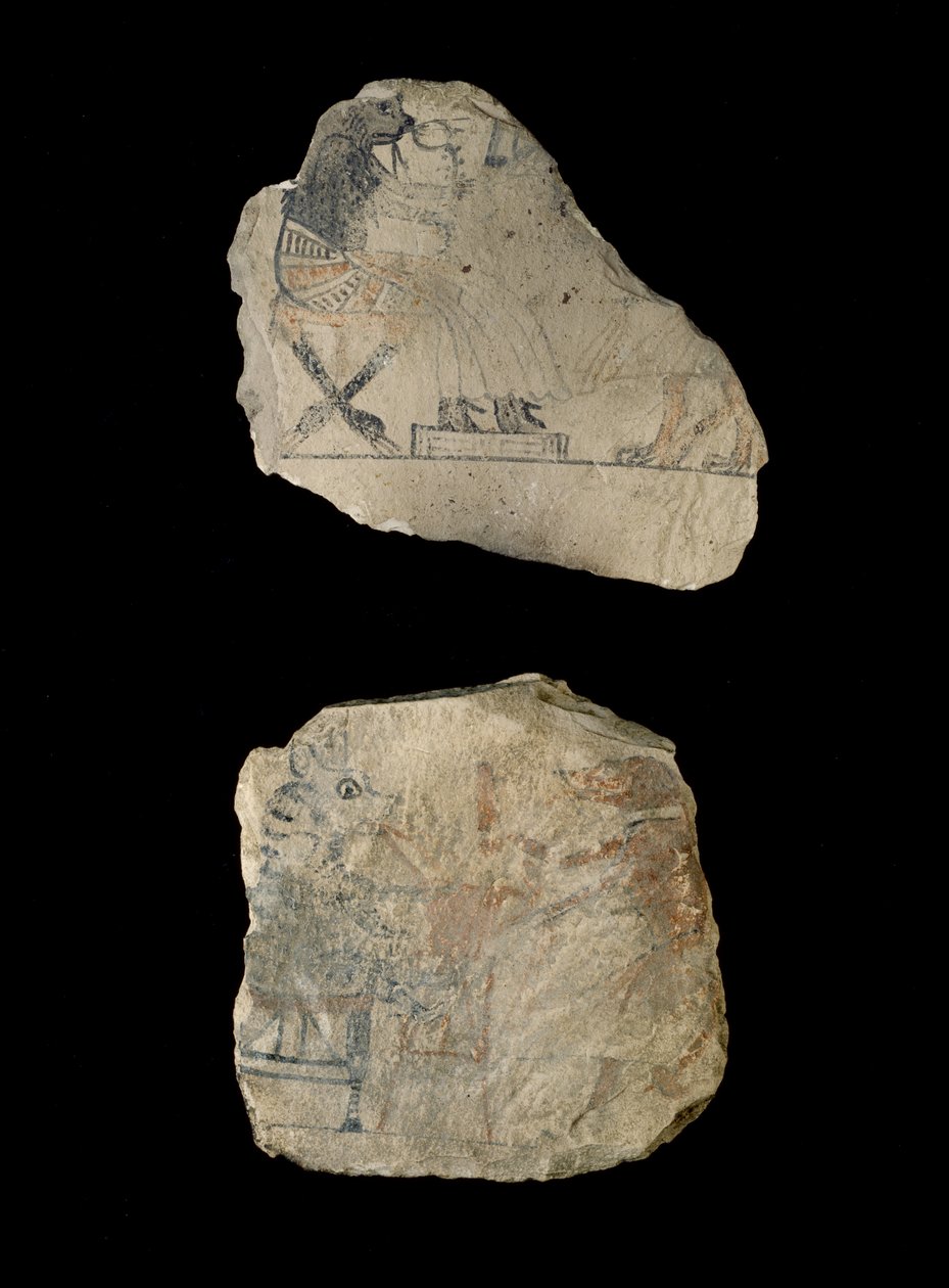 Ostraka wapienna z humorystycznymi szkicami w czerwonym i czarnym tuszem (wapień pomalowany czarnym i czerwonym tuszem) autorstwa Egyptian 19th Dynasty