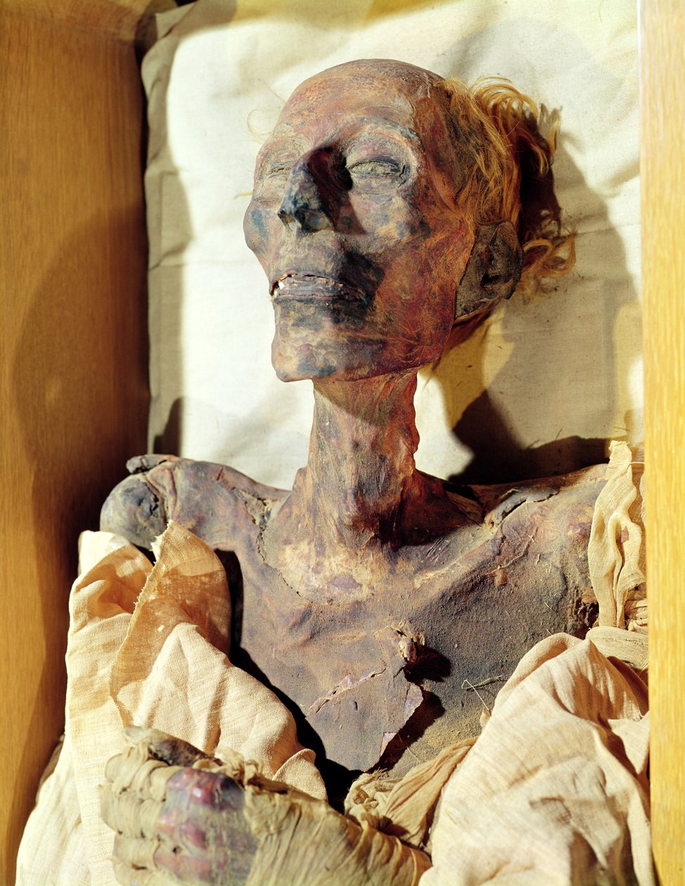 Zmumifikowane ciało Ramzesa II (1304-1237 pne) znalezione w grobowcu w Deir al-Bahri autorstwa Egyptian 19th Dynasty