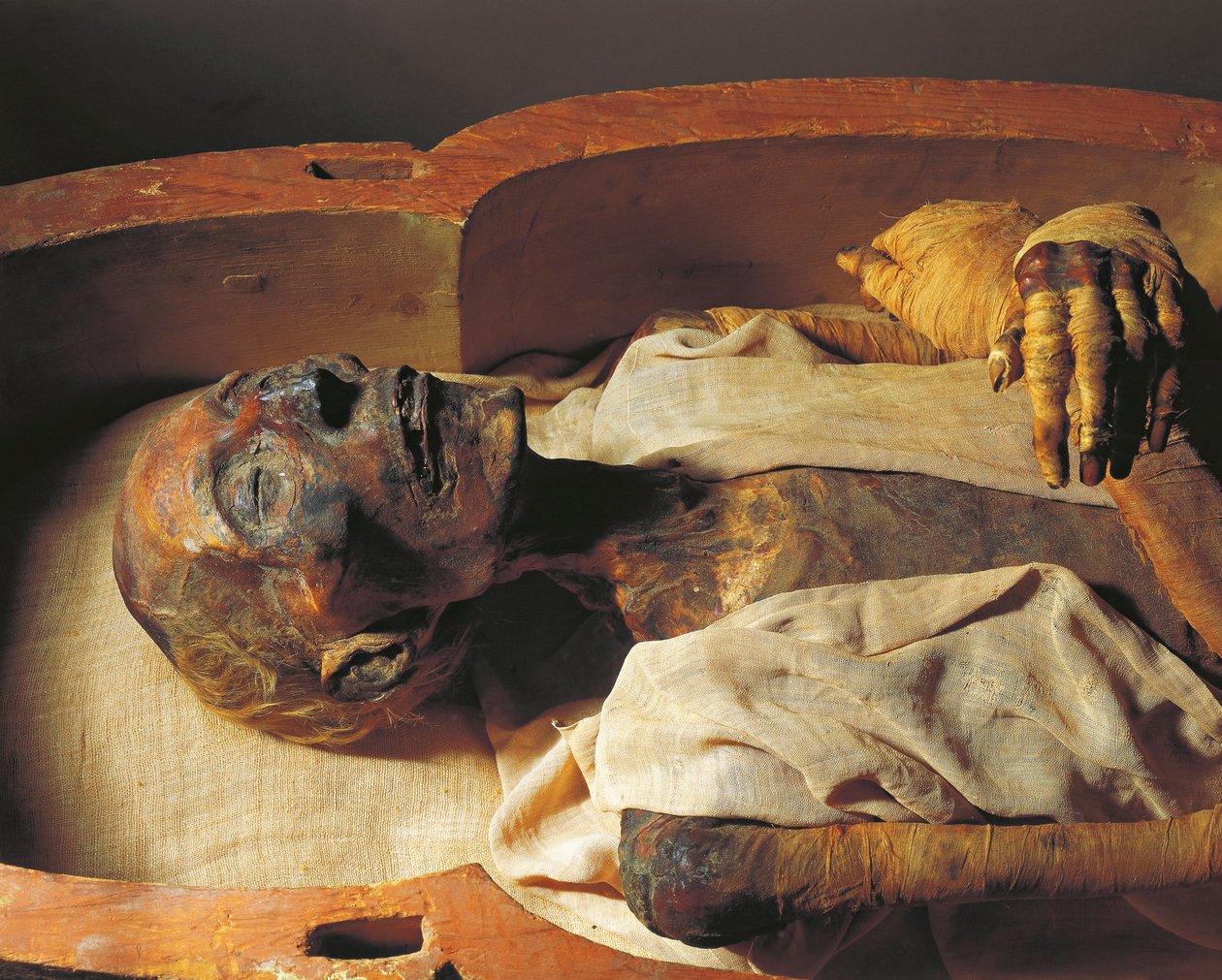 Mumia Ramzesa II (ok. 1297-1213 p.n.e.), szczegół autorstwa Egyptian 19th Dynasty