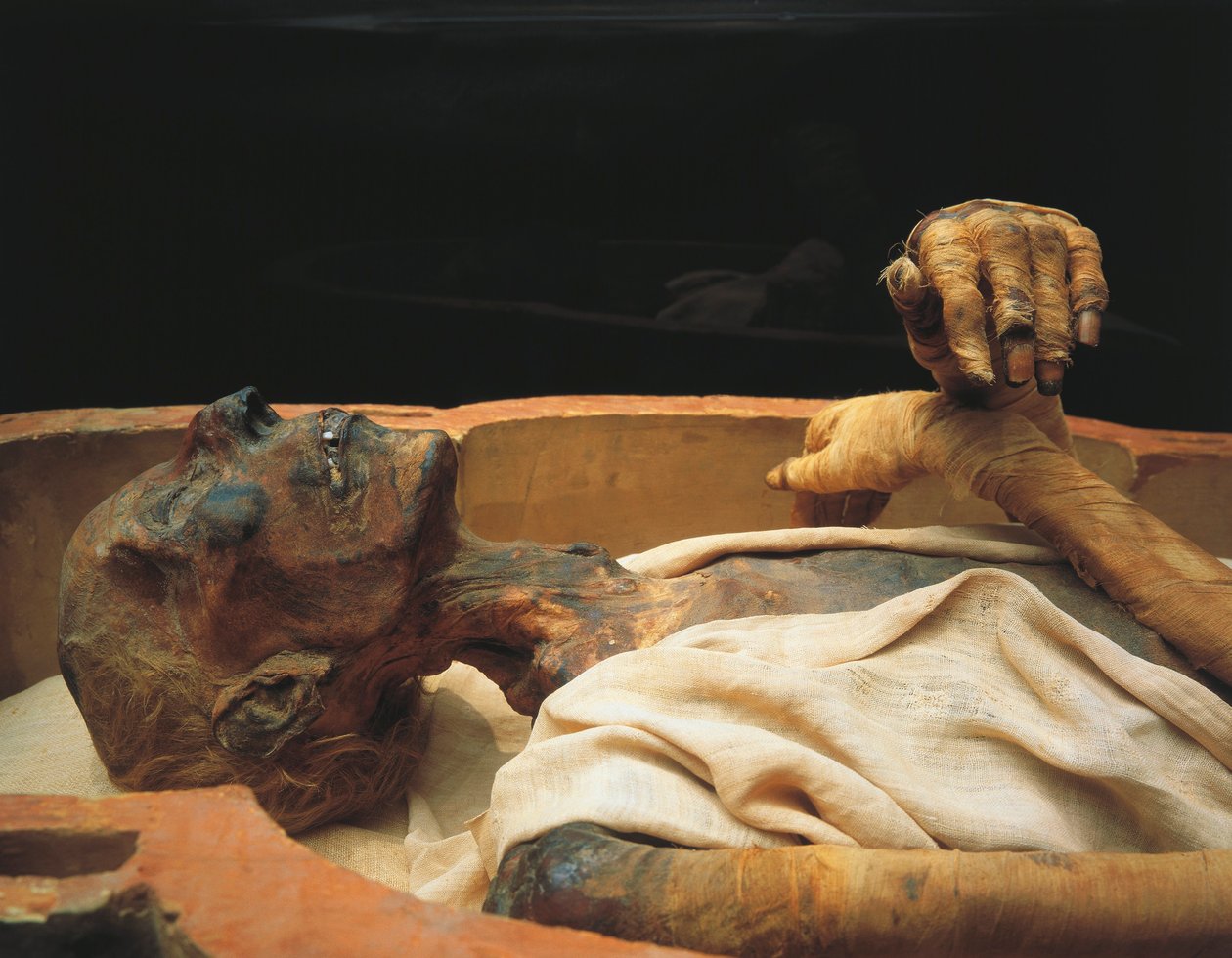 Mumia Ramzesa II, szczegół autorstwa Egyptian 19th Dynasty