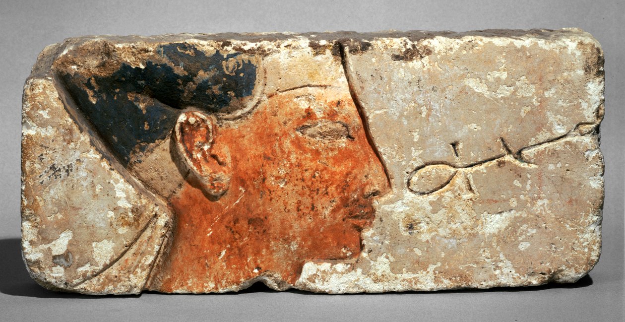 Profil króla, prawdopodobnie Ramzesa II - Profil faraona Ramzesa II. Malowany wapień ... autorstwa Egyptian 19th Dynasty