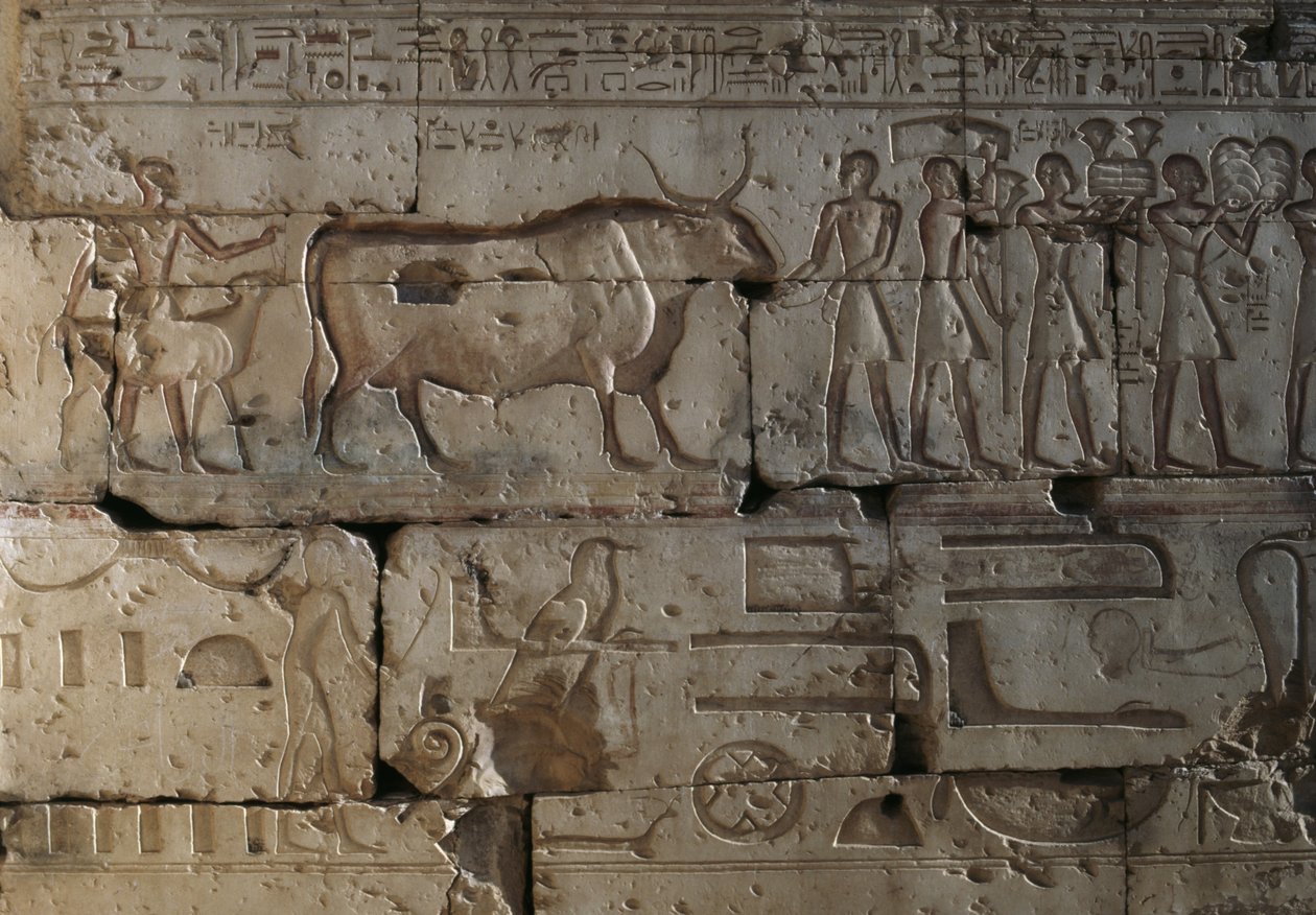 Płaskorzeźba, Świątynia Ramzesa II, Abydos, Egipt, cywilizacja egipska, Nowe Państwo, XIX dynastia (zdjęcie) autorstwa Egyptian 19th Dynasty