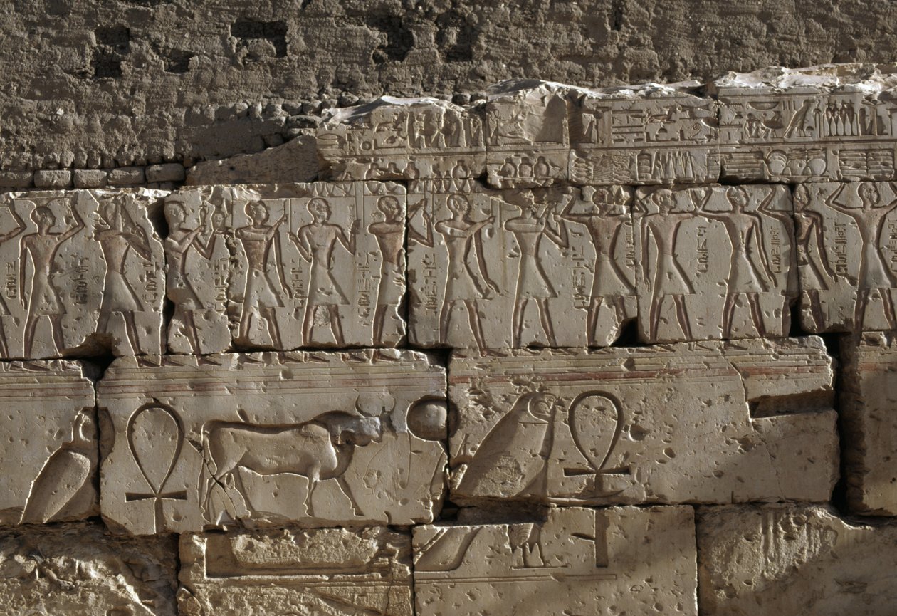 Relief, Ramses II:n temppeli, Abydos, Egypti, Egyptin sivilisaatio, Uusi kuningaskunta, Dynastia XIX (kuva)puola autorstwa Egyptian 19th Dynasty