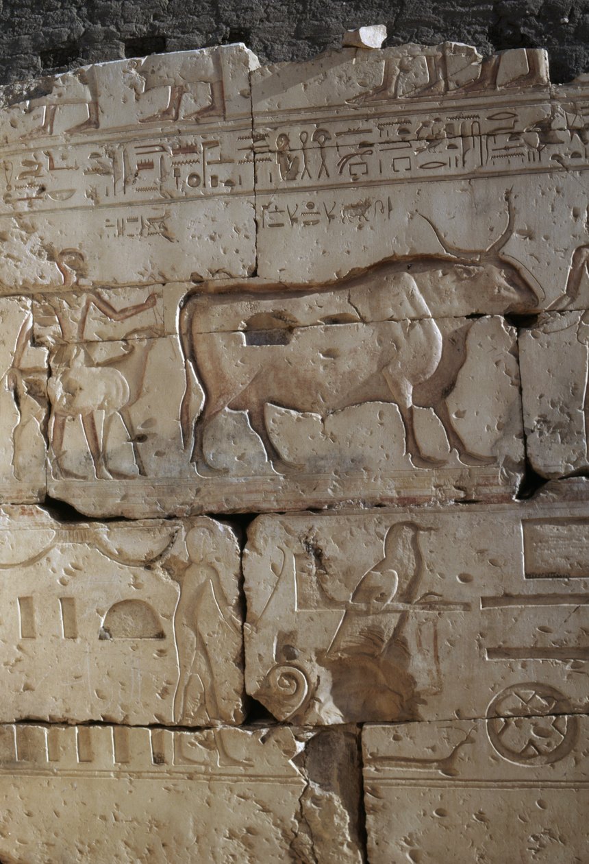 Płaskorzeźba, Świątynia Ramzesa II, Abydos, Egipt, cywilizacja egipska, Nowe Państwo, XIX dynastia (zdjęcie) autorstwa Egyptian 19th Dynasty