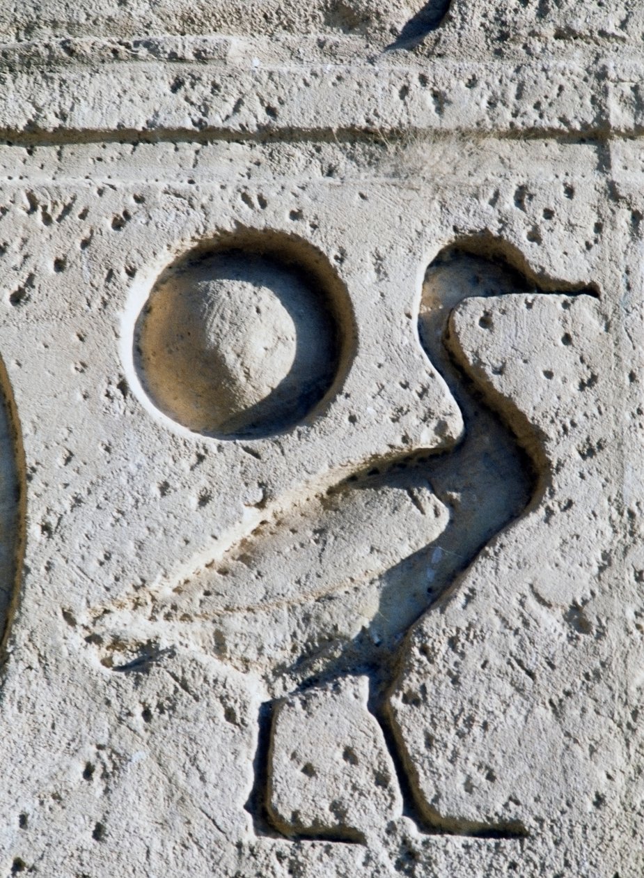 Relief przedstawiający gęś i słońce, symbole faraona identyfikujące syna boga Ra, Wielka Świątynia Ramzesa II, Abu Simbel (lista światowego dziedzictwa UNESCO) autorstwa Egyptian 19th Dynasty