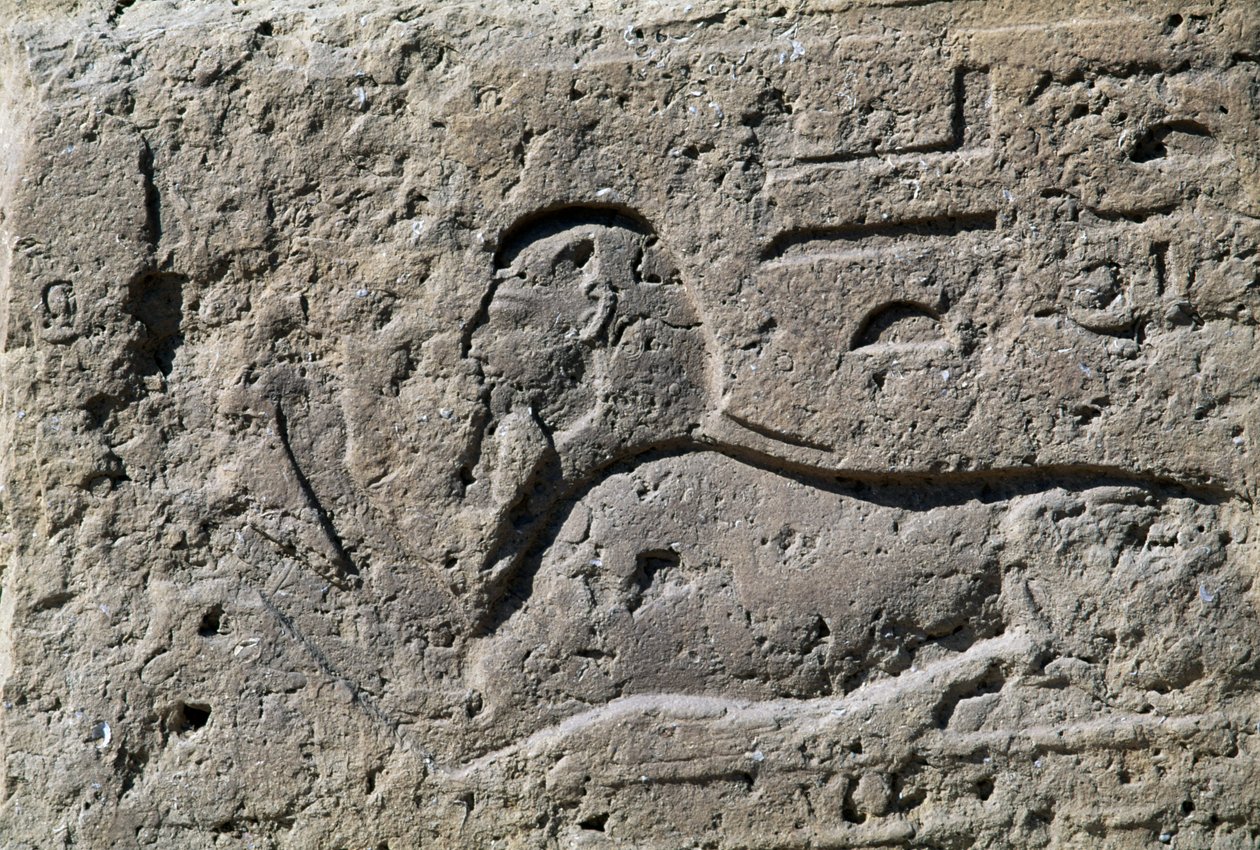 Sfinks, blok z reliefem, Wielka Świątynia Amona, Tanis, Egipt, Nowe Państwo, XIX dynastia autorstwa Egyptian 19th Dynasty