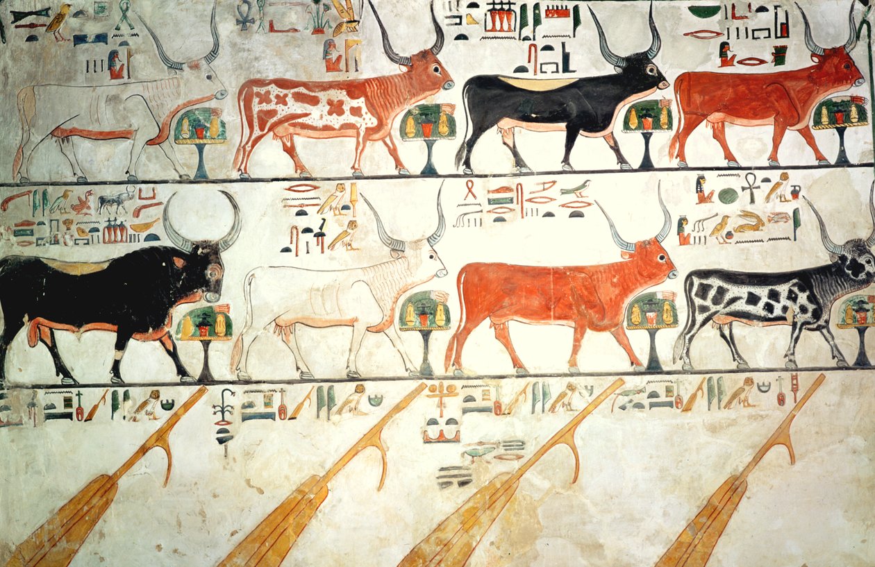 Siedem niebiańskich krów i święty byk i cztery stery nieba, z grobowca Nefertari, Nowe Królestwo (malowidło ścienne) autorstwa Egyptian 19th Dynasty