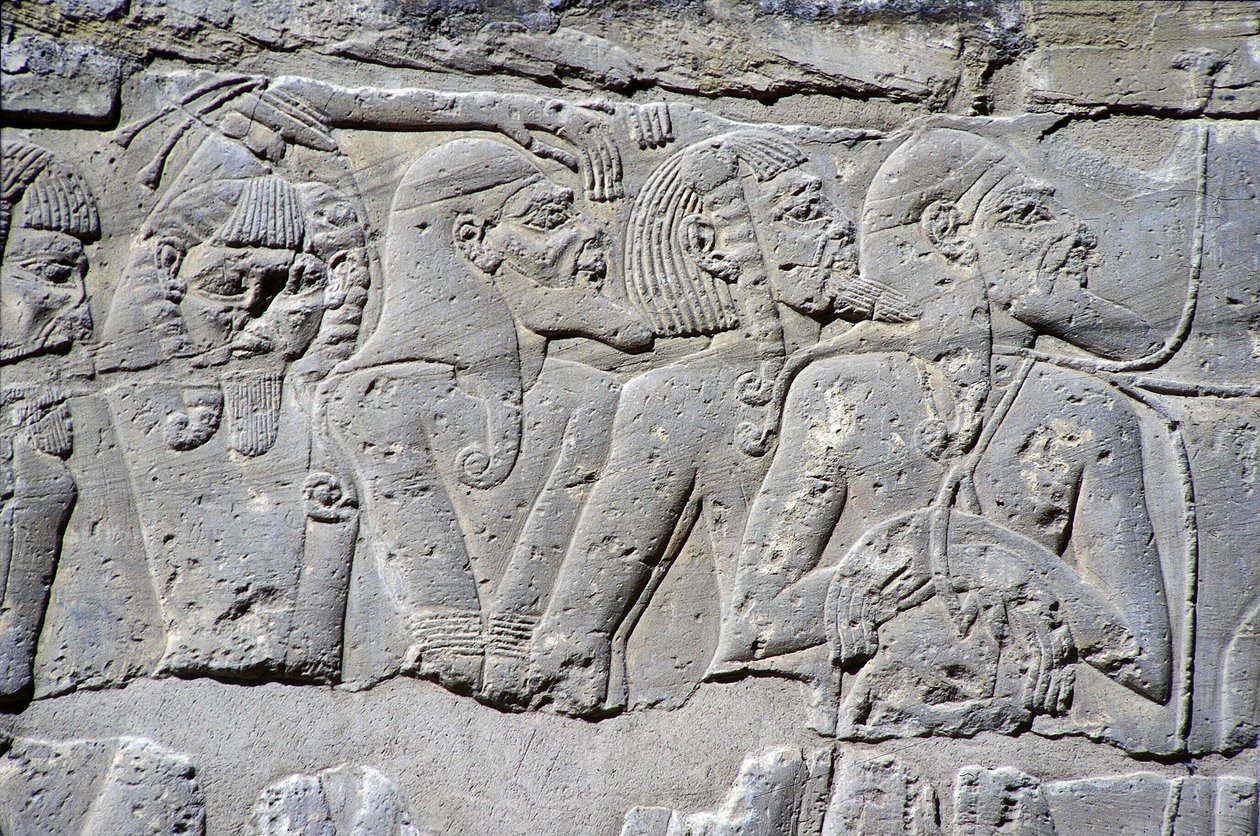 Płaskorzeźba przedstawiająca „Więźniów Północy” w bitwie pod Ramzesem III, Wielka Świątynia Medinet (kamień) autorstwa Egyptian 20th Dynasty