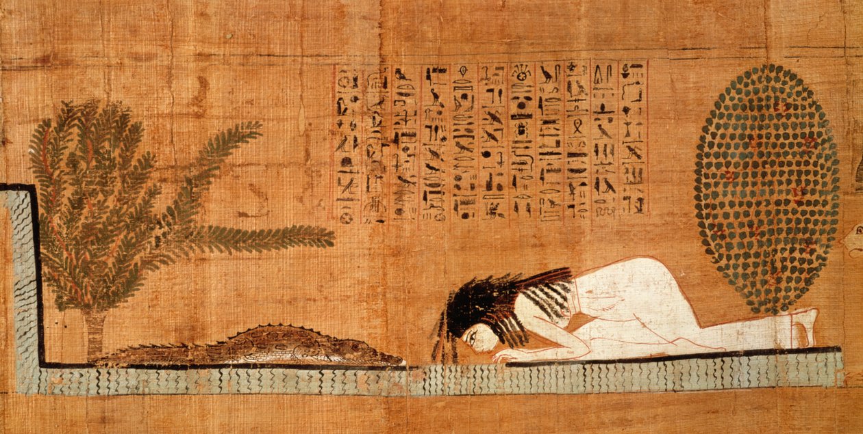 Papirus nagrobny przedstawiający zmarłego przed krokodylem (papirus) autorstwa Egyptian 21st Dynasty