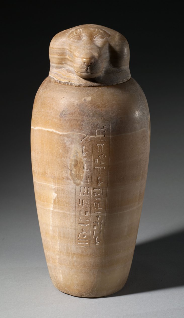 Słój kanopski z głową pawiana, 664-525 p.n.e. autorstwa Egyptian 26th Dynasty