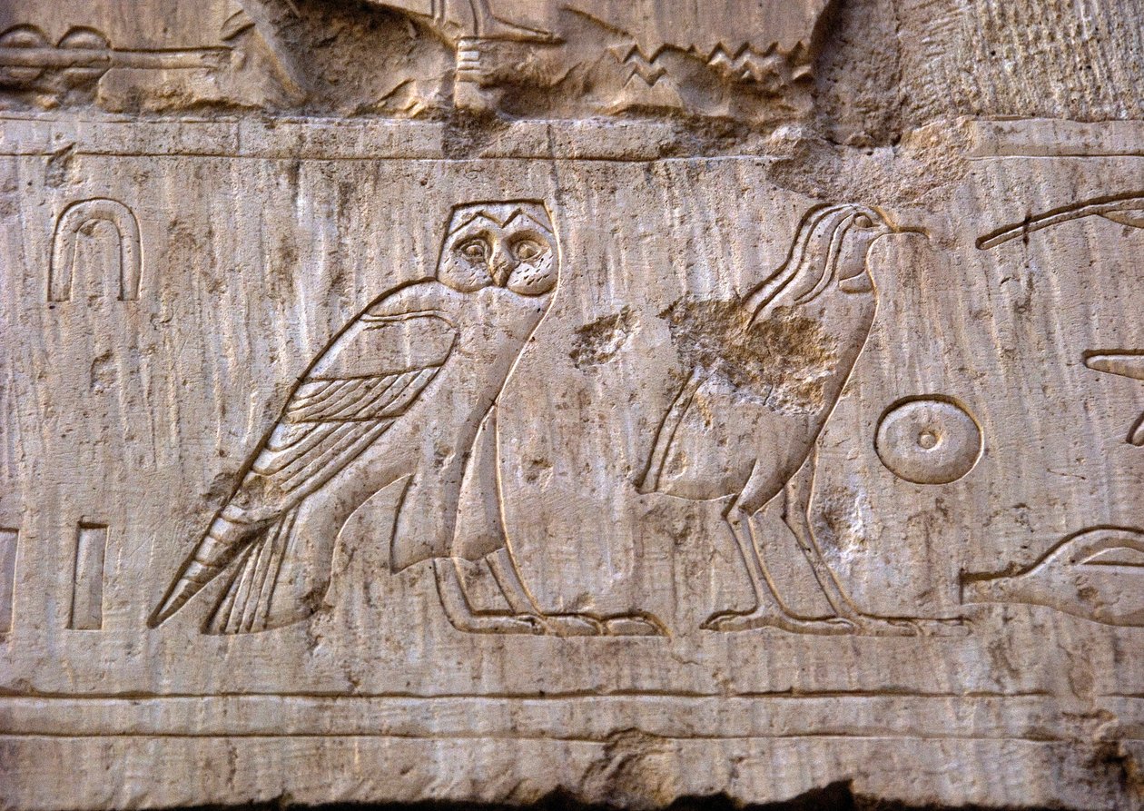 Starożytność egipska: płaskorzeźba przedstawiająca sowę i orła. Grobowiec Ankh-Hor (Ankh Hor) (TT414) (26 dynastia, 672-525 pne), Luksor (Teby), Egipt autorstwa Egyptian 26th Dynasty