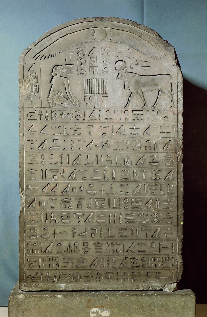Stela upamiętniająca pochówek byka Apisa za panowania Ahmose II (Amazis) z Serapeum w Sakkarze, Epoka Późna, 547 pne (wapień) autorstwa Egyptian 26th Dynasty