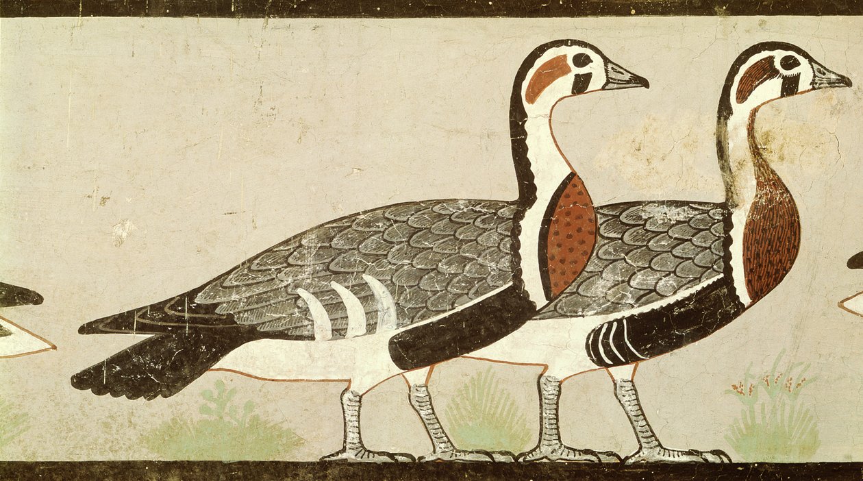 Gęsi Meidum, z grobowca Nefermaat i Ateta, Stare Państwo, ok. 2620 pne (malowane stiuki) autorstwa Egyptian 4th Dynasty