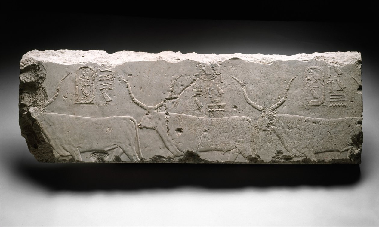 Fragment reliefu z bydłem króla Chufu, ok. 2535 (wapień) autorstwa Egyptian 4th Dynasty