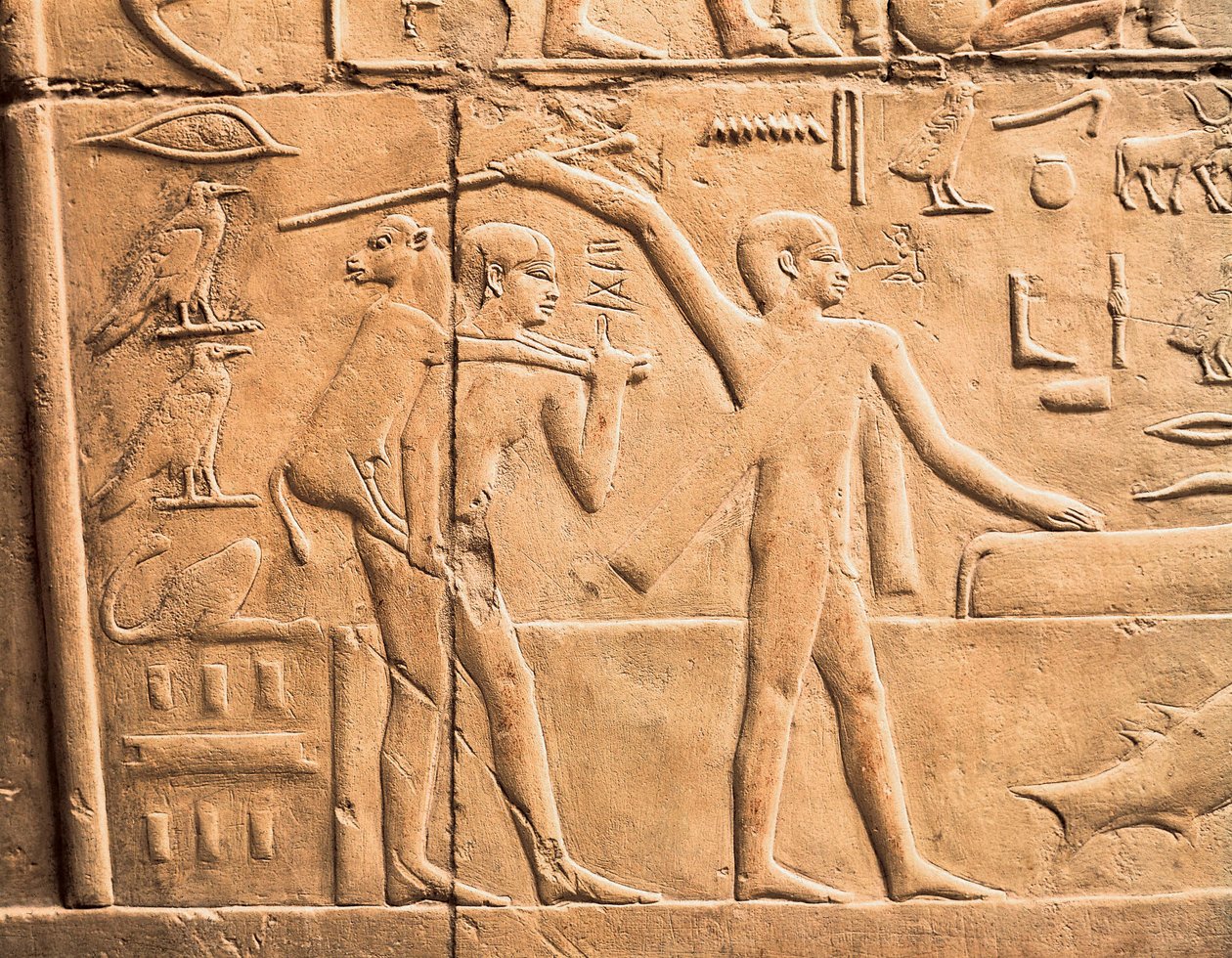Sceny prac rolnych, szczegóły autorstwa Egyptian 4th Dynasty