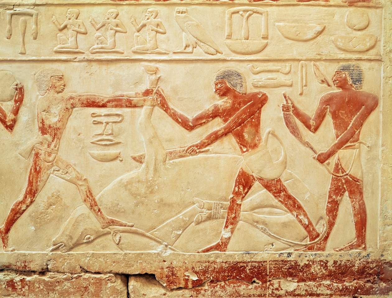 Rzeźnicy ubijający wołu, płaskorzeźba z grobowca księżniczki Idut, Stare Państwo, ok. 2330 pne (malowany wapień) autorstwa Egyptian 6th Dynasty