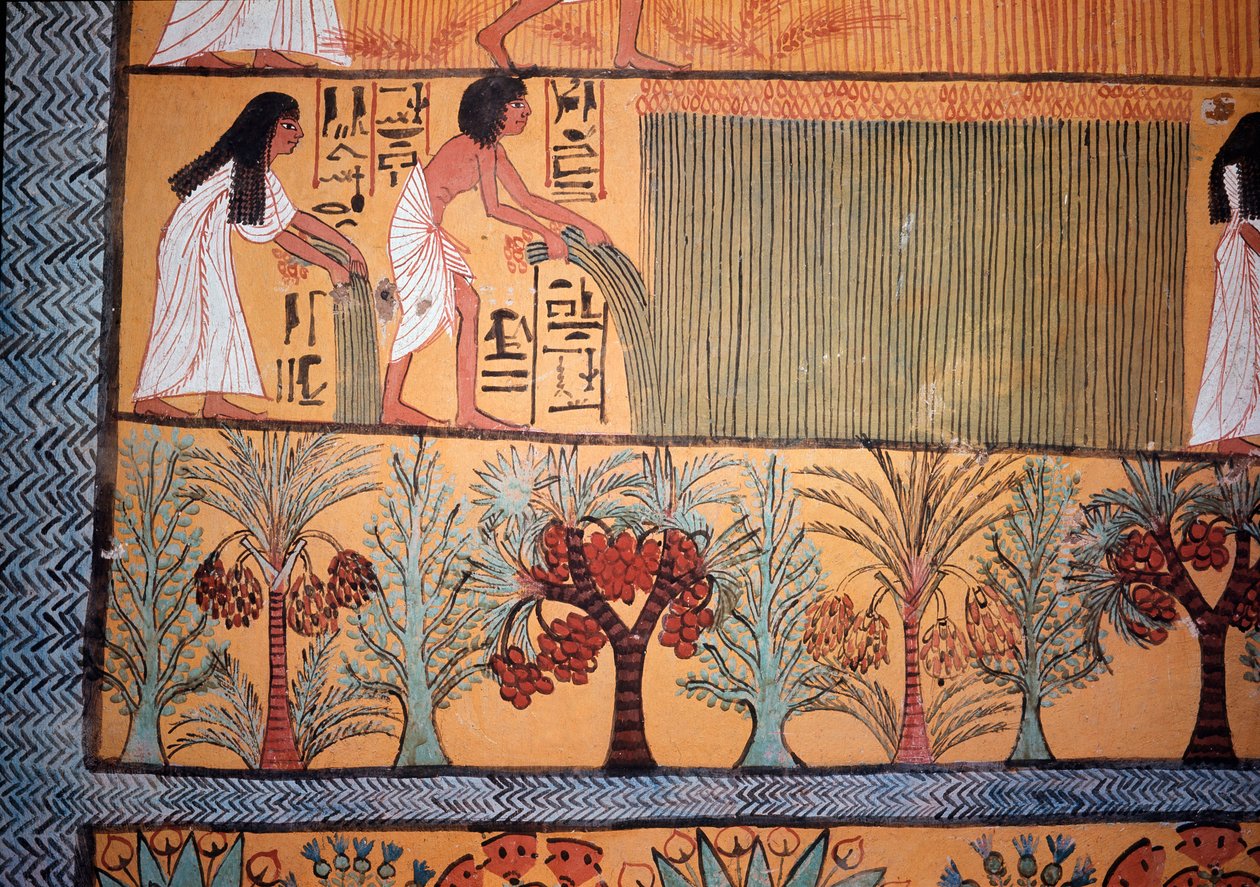 Scena żniw (malarstwo ścienne) autorstwa Egyptian Egyptian