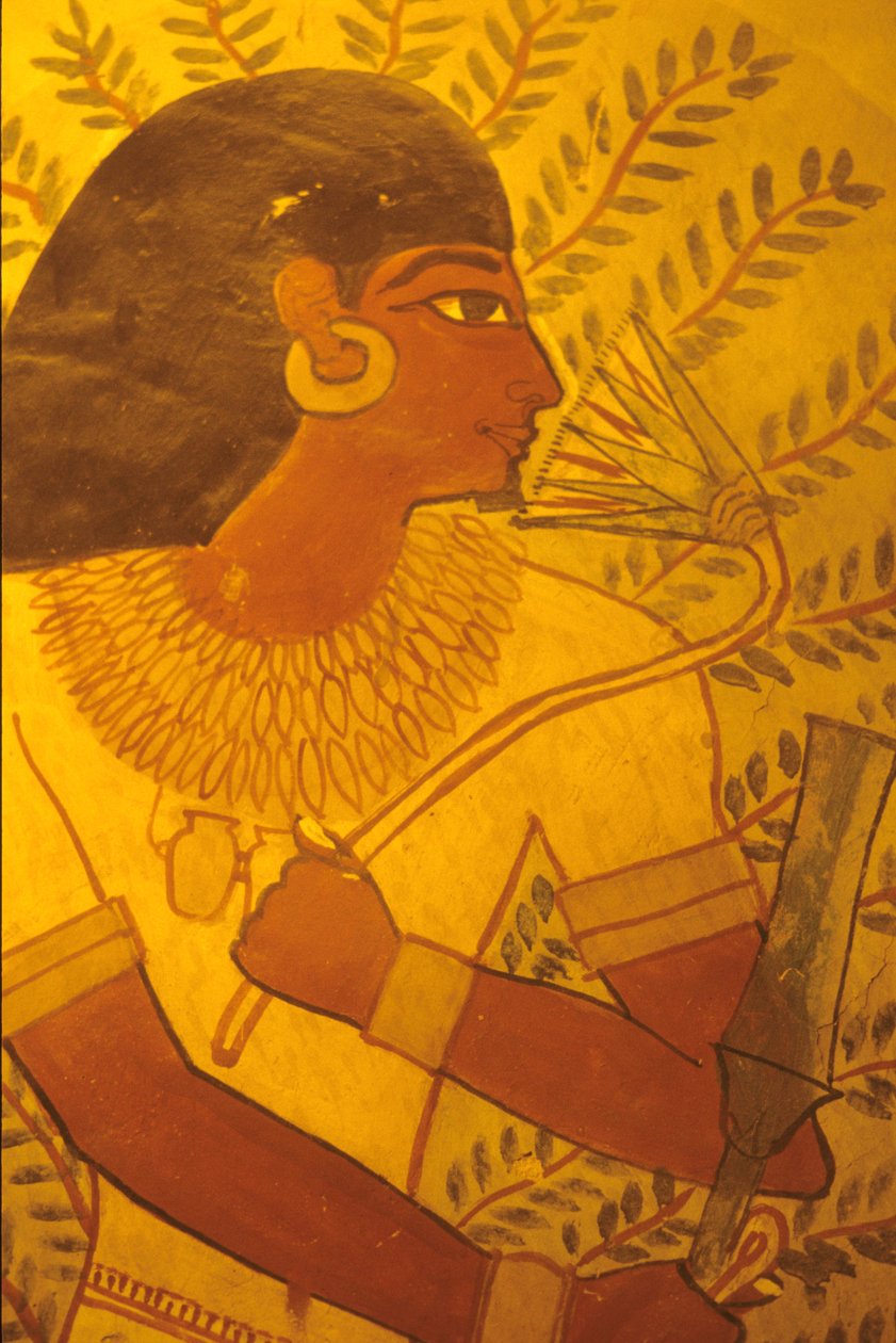 Starożytny Egipt, Grobowiec Sennufera, Teby, Luksor, malowidło ścienne, mural, fresk autorstwa Egyptian Egyptian