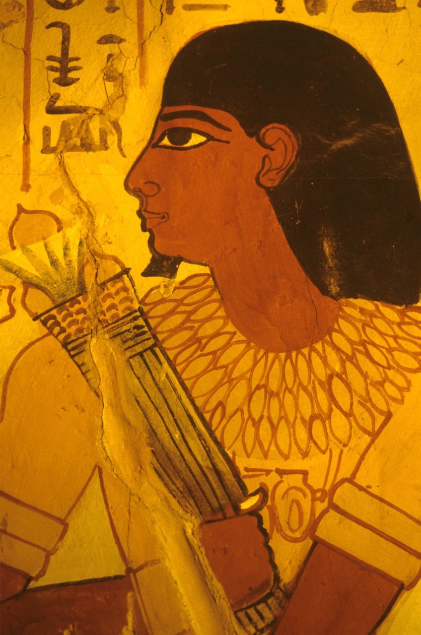 Starożytny Egipt, grobowiec Sennufera, malowidło ścienne, mural, fresk, Sennufer otrzymujący pąki lotosu, burmistrz Teb, nadzorca za czasów Amenofisa II autorstwa Egyptian Egyptian