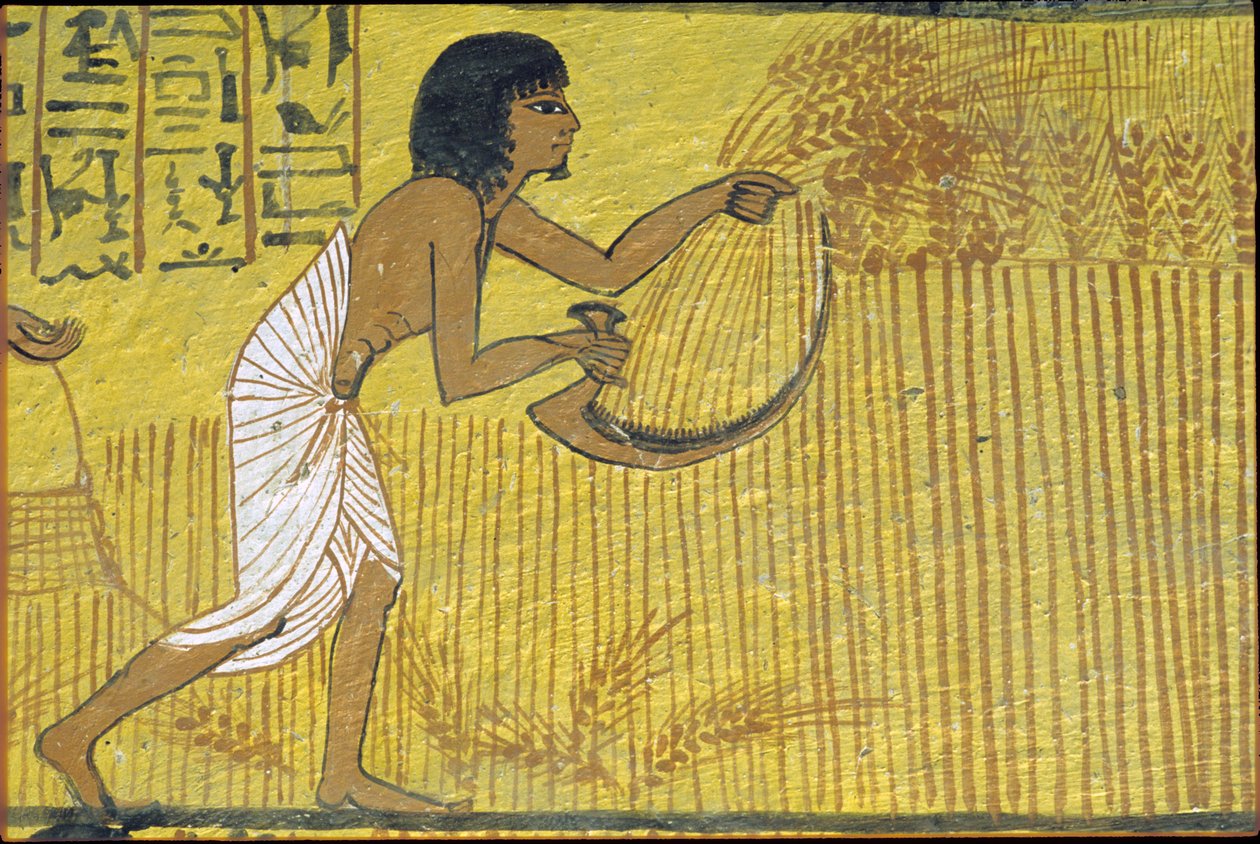 Starożytny Egipt, malowidło ścienne, grobowiec Sennedżema, grobowiec szlachty, Teby, Deir el Medina autorstwa Egyptian Egyptian