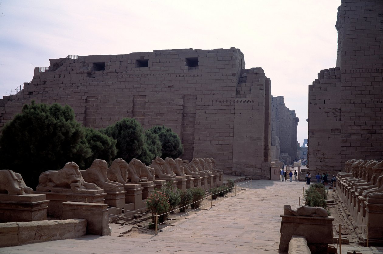 Starożytność egipska: allee (dromos) kriosfinksa (Sfinks na czele wierzących) w Karnaku, Luksorze, Egipt autorstwa Egyptian Egyptian