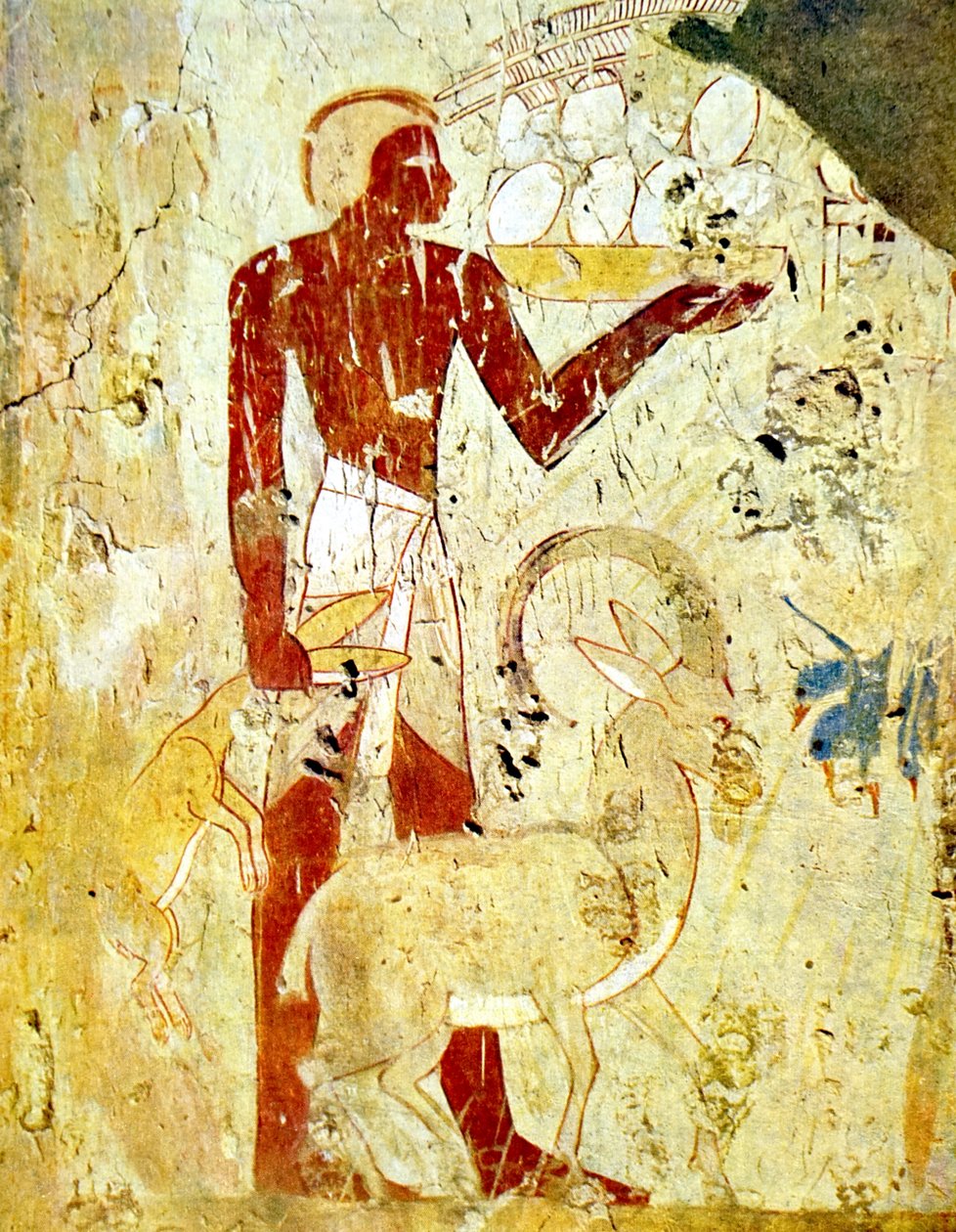 Egipskie malowidło ścienne przedstawiające ofiary ze zwierząt autorstwa Egyptian Egyptian