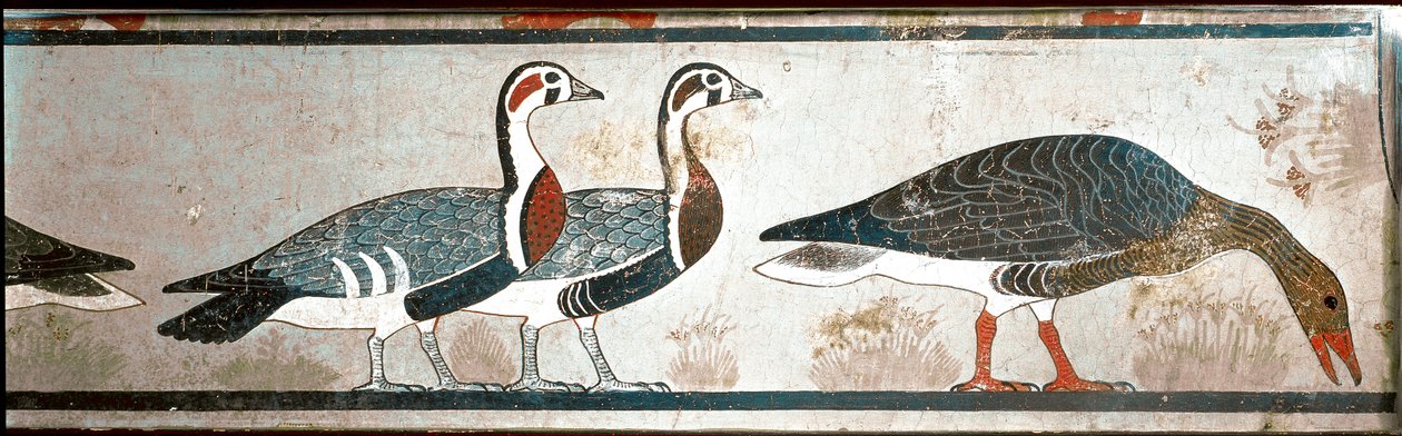 Gęsi, fragment panelu z Mastaby z Itet, żony Nefermaat, Meidoum (malowany wapień) autorstwa Egyptian Egyptian