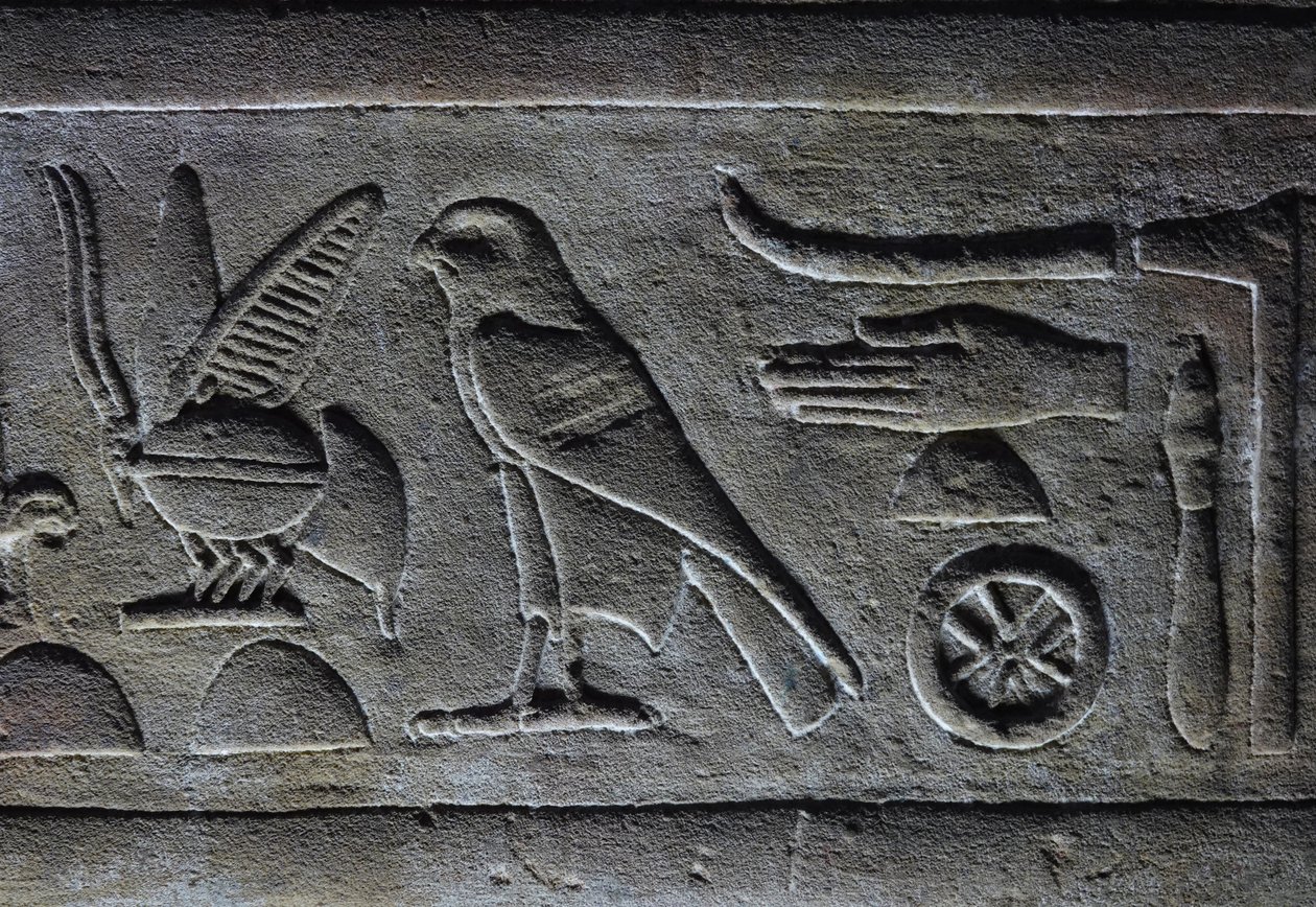 Hieroglyps, Pszczoła Faraona i Sokół Horusa, Świątynia Horusa, Edfu autorstwa Egyptian Egyptian