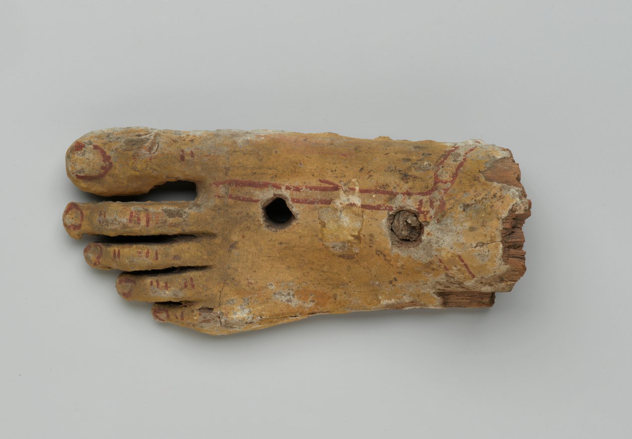 Lewa stopa z trumny antropoidalnej, 30 pne-II wne (drewno i gips) autorstwa Egyptian Egyptian