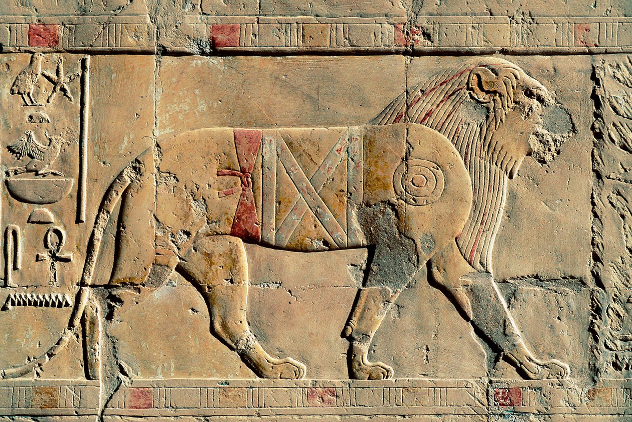 Lew, Senenmut, Świątynia Hatszepsut, Dayr al-Bahri, Egipt autorstwa Egyptian Egyptian