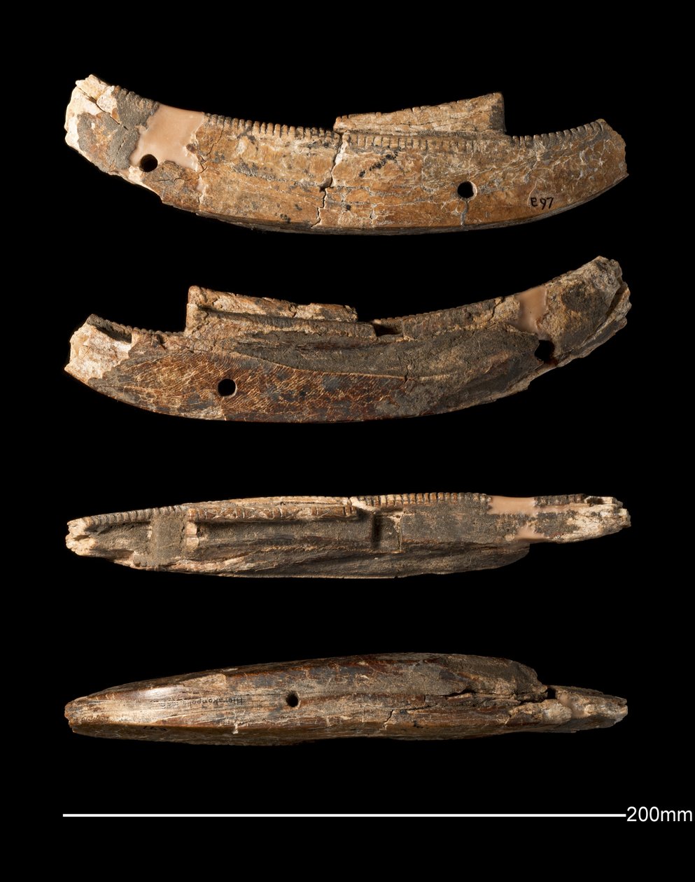 Model łodzi, Hierakonpolis, okres wczesnodynastyczny (ok. 2950 - ok. 2575 pne) (rzeźbiona kość słoniowa) autorstwa Egyptian Egyptian