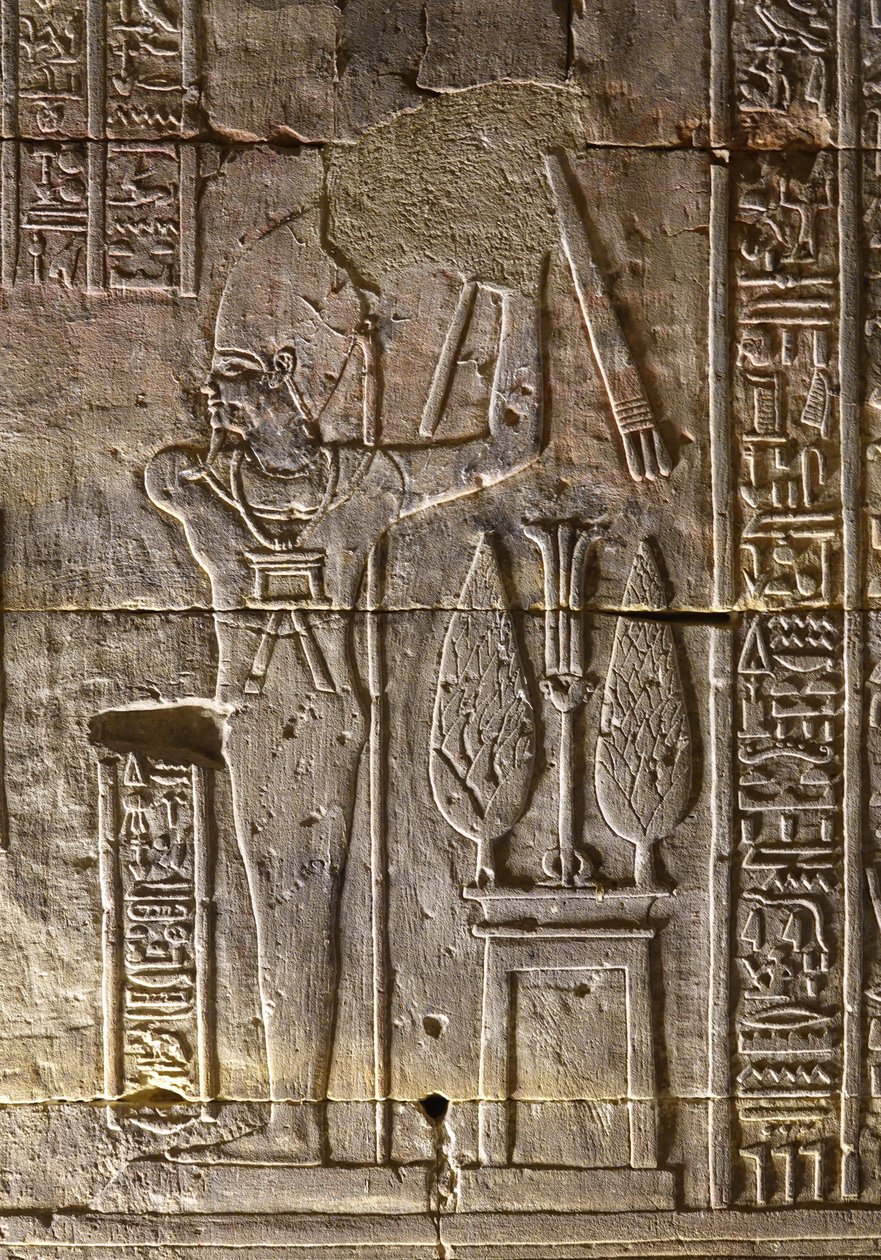 Faraon i jego atrybuty, świątynia Horusa w Edfu autorstwa Egyptian Egyptian
