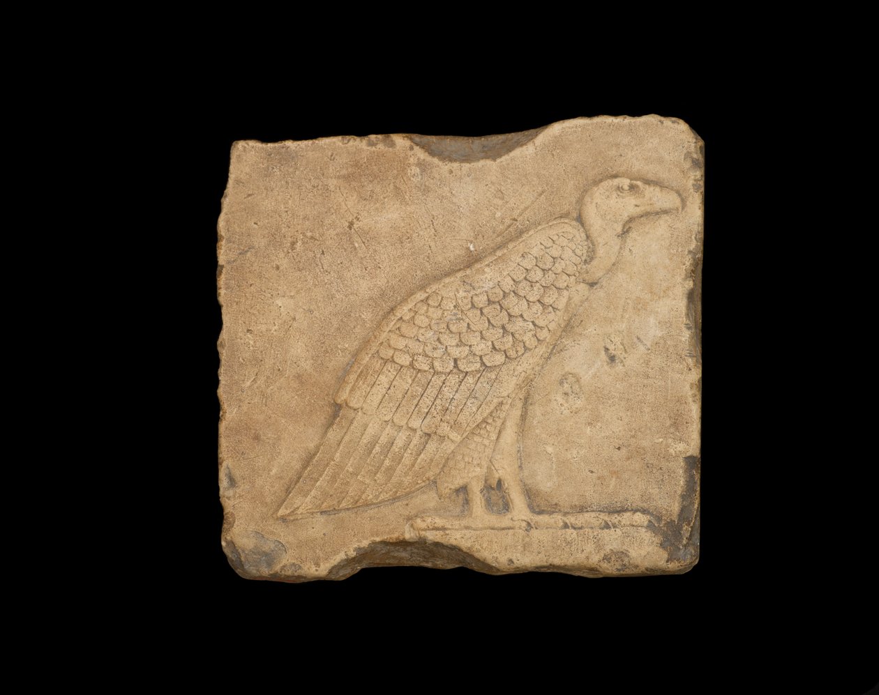 Blok ze stojącym sępem po jednej stronie i sową po drugiej, obie płaskorzeźbione, okres ptolemejski, 305-30 pne (wapień) autorstwa Egyptian Ptolemaic Period