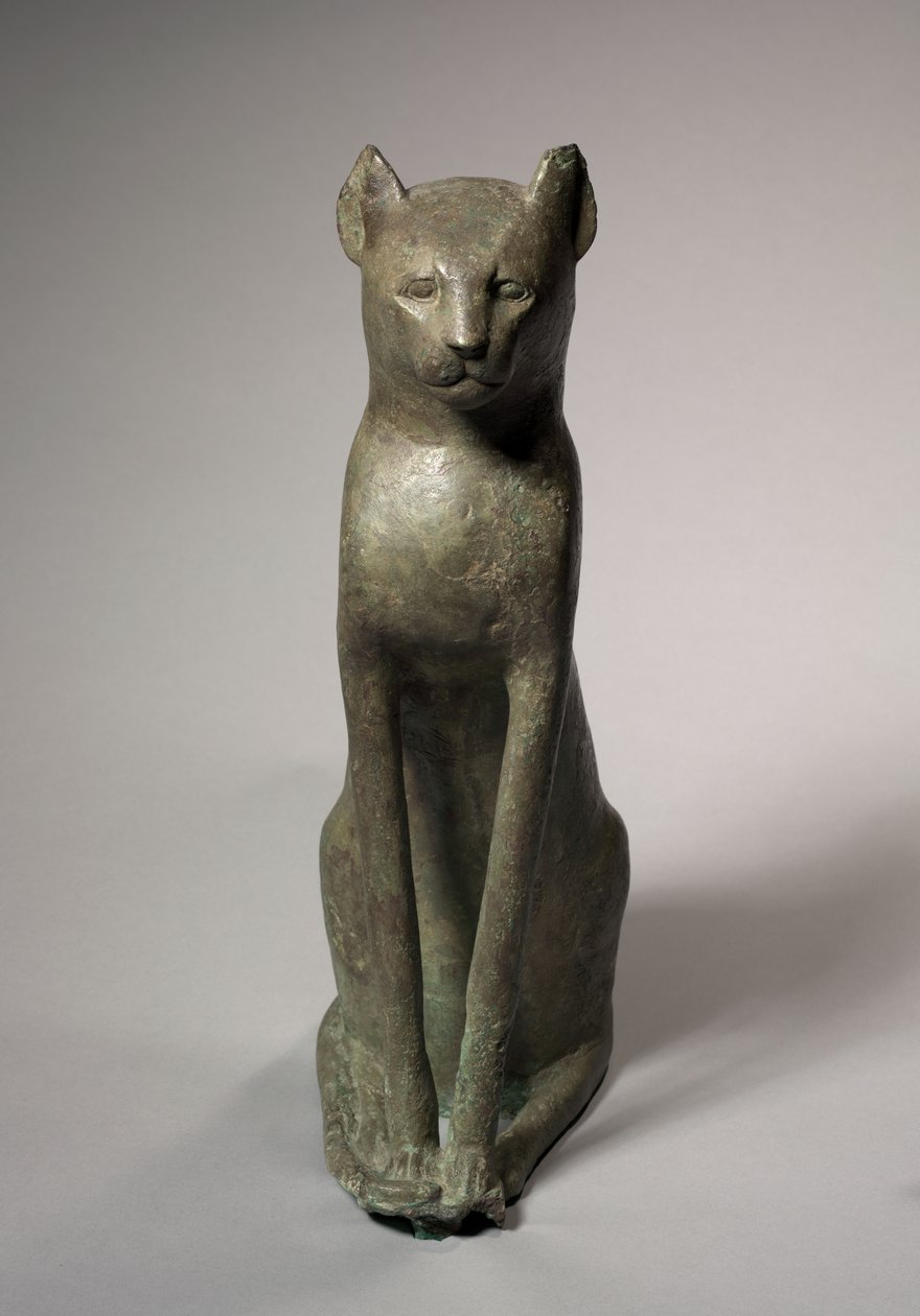 Trumna dla kota, 305-30 pne autorstwa Egyptian Ptolemaic Period
