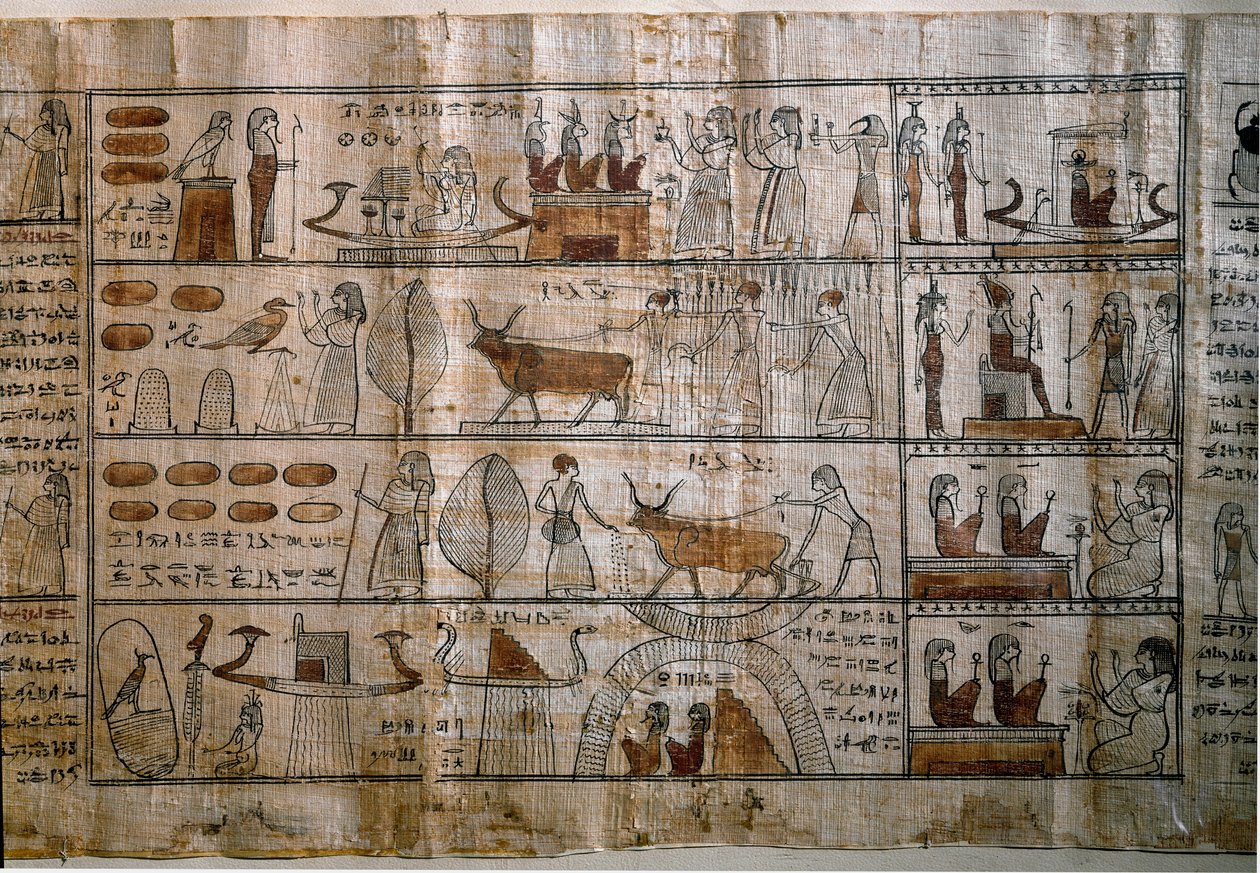 Egipski antyk: Pola Elizejskie. Papirus Księgi Umarłych. Okres ptolemejski. Turyn, muzeum egipskie autorstwa Egyptian Ptolemaic Period