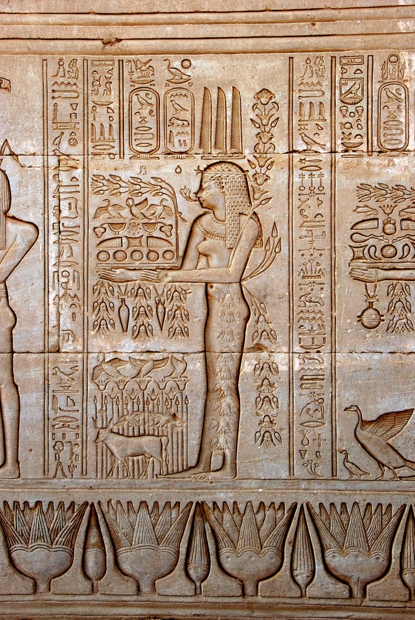 Starożytność egipska: przedstawienie młodej kobiety przynoszącej ofiary w hołdzie bogini, Świątynia Hathor, Dendera, Egipt autorstwa Egyptian Ptolemaic Period
