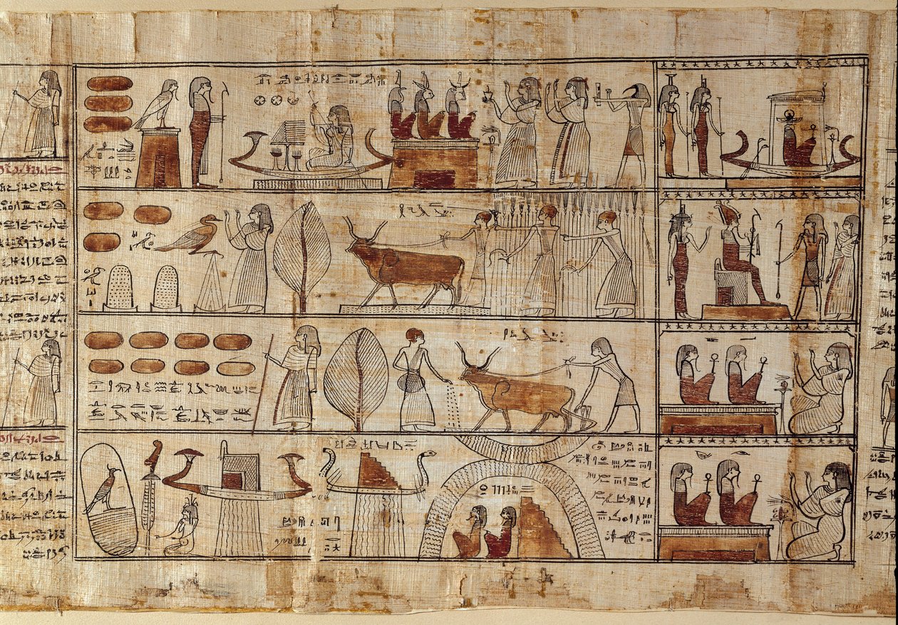 Egipskie antyki: pola Elizejskie. Obraz na papirusie z Księgi Umarłych. Okres Ptolemejski Turyn, Muzeum Egipskie - Starożytny Egipt: Pola Elizejskie. Obraz na papirusie z Księgi Umarłych. Okres Ptolemejski. Muzeum Egipskie, Turyn, It autorstwa Egyptian Ptolemaic Period