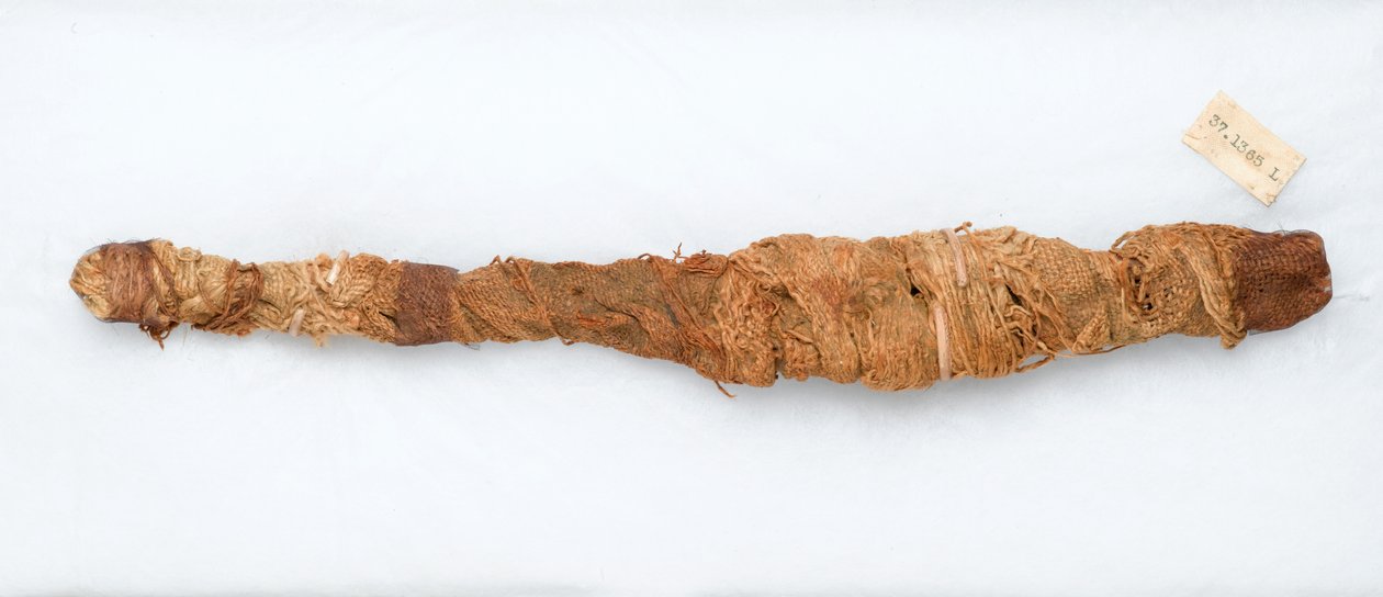 Mumia krokodyla, znaleziona w Manfalont, 305-30 pne (szczątki zwierząt i len) autorstwa Egyptian Ptolemaic Period