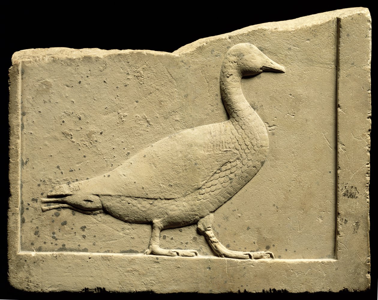 Relief przedstawiający gęś (wapień) autorstwa Egyptian Ptolemaic Period
