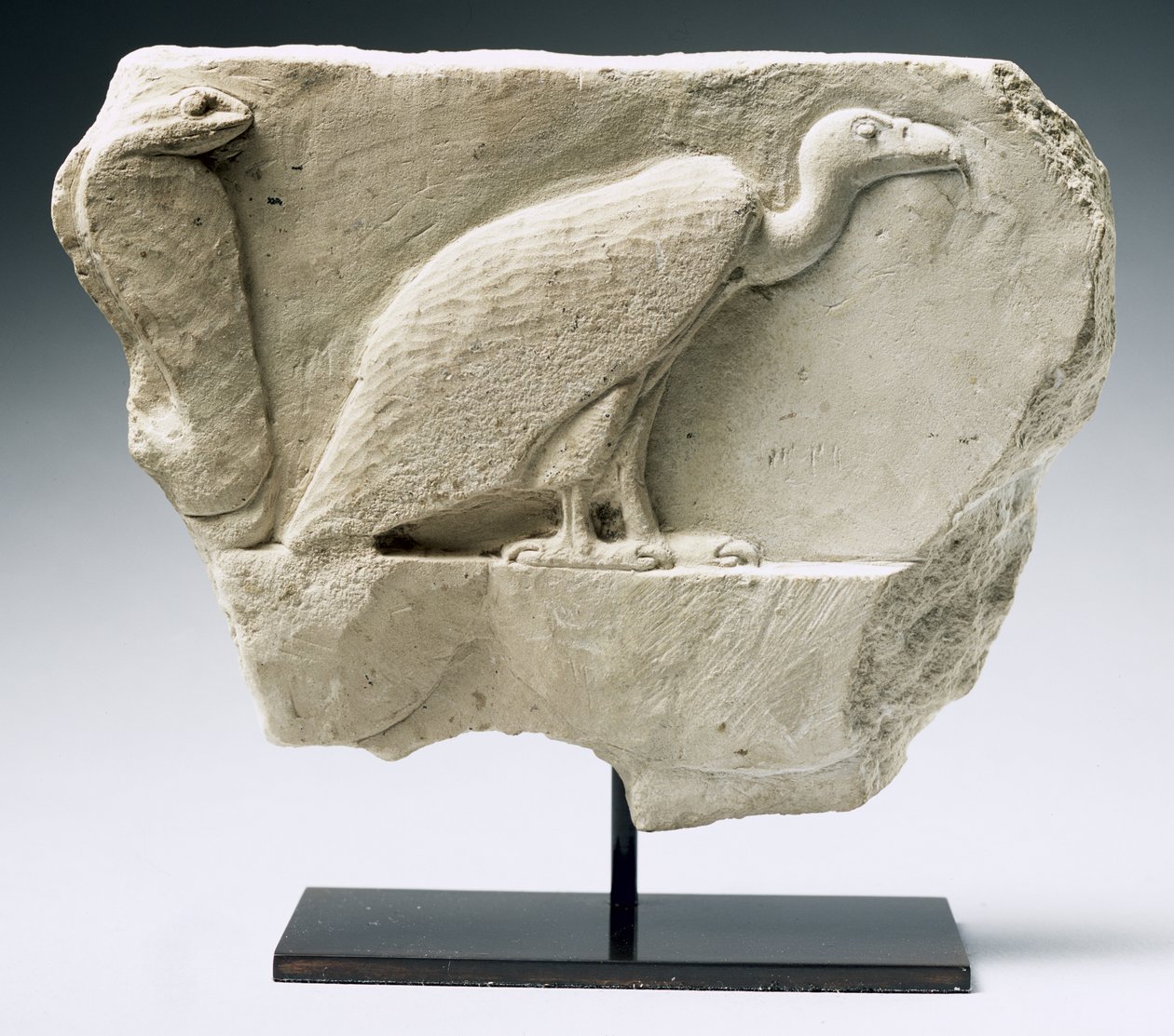 Relief przedstawiający sępa i kobrę (wapień) autorstwa Egyptian Ptolemaic Period