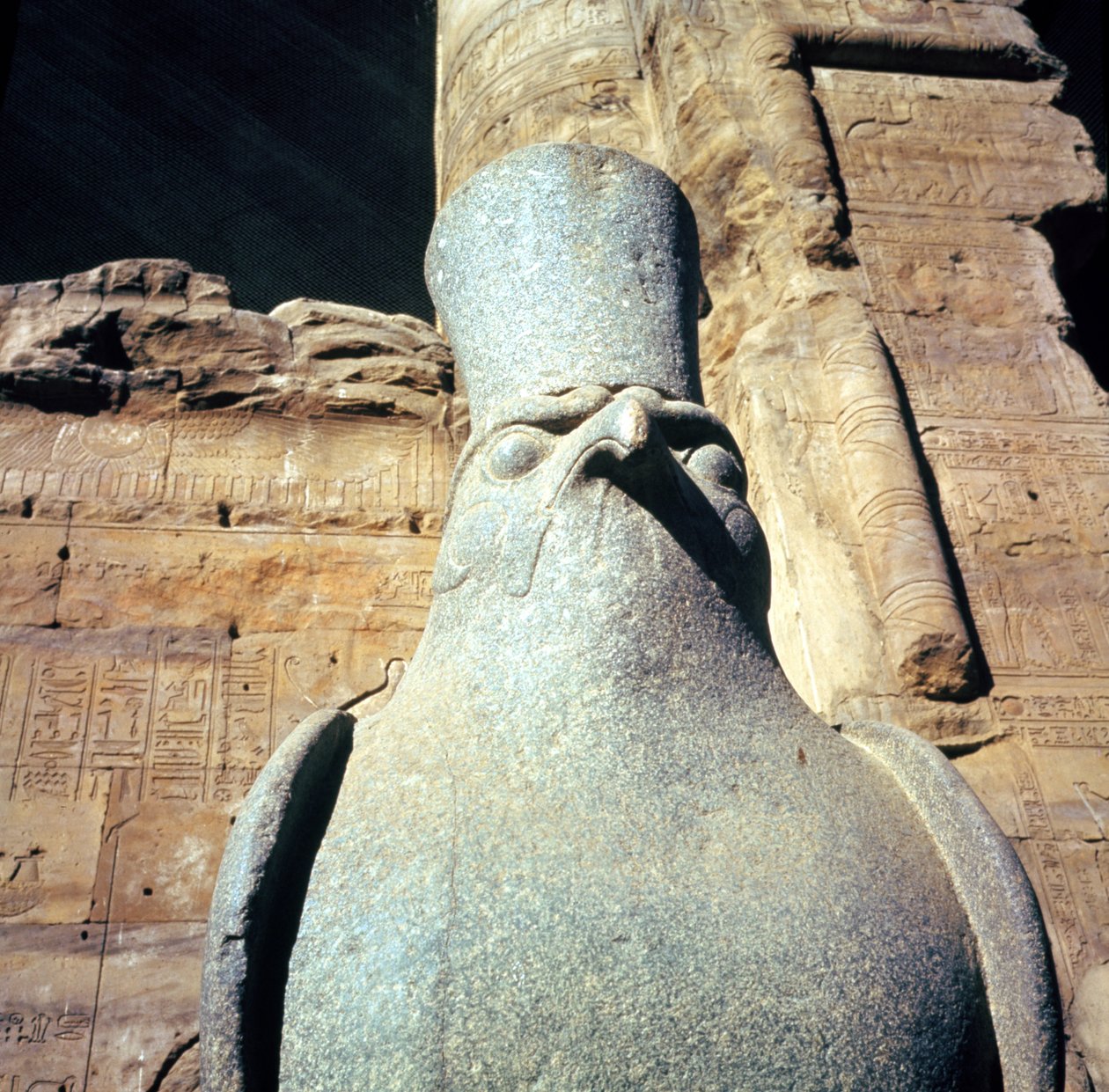 Statua Horusa, na Dziedzińcu Ofiarnym Świątyni Horusa (szczegół) autorstwa Egyptian Ptolemaic Period
