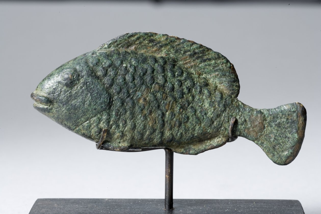 Ryba Tilapia (brąz) autorstwa Egyptian Ptolemaic Period