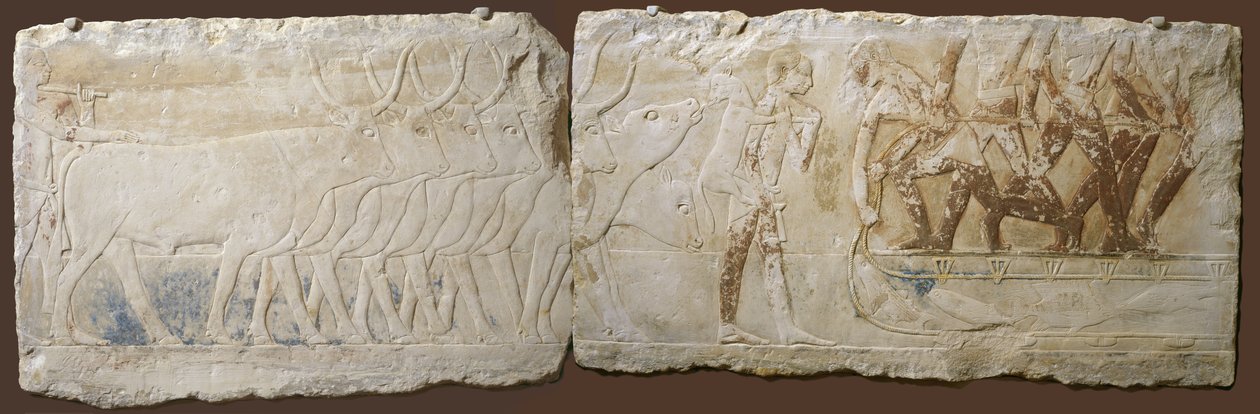 Ulga chłopów prowadzących bydło i rybołówstwo, Stare Królestwo, 2450-2290 pne (malowany wapień) autorstwa Egyptian School