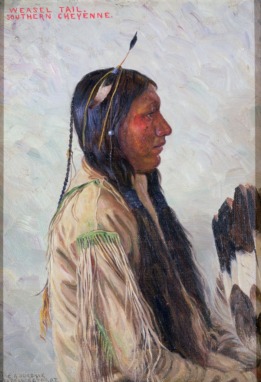 Ogon łasicy autorstwa Elbridge Ayer Burbank