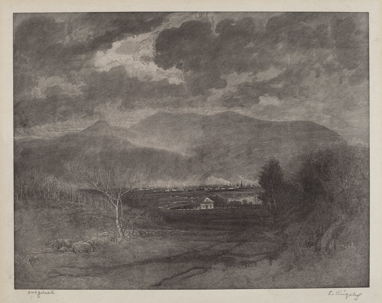Szara loka autorstwa Elbridge Kingsley