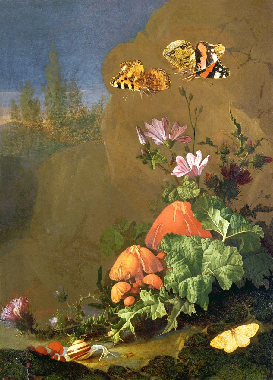 Martwa natura podłogi leśnej z kwiatami, grzybami i ślimakami autorstwa Elias van den Broeck
