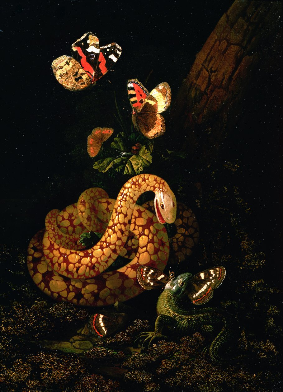 Martwa natura z wężem autorstwa Elias van den Broeck