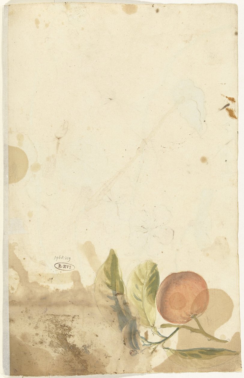 Pomarańczowy autorstwa Elias van Nijmegen