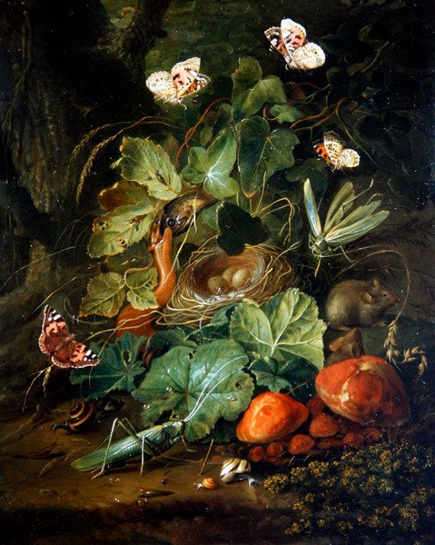 Podłoga lasu Martwa natura z owocami i motylami (olej na panelu) autorstwa Elias van den Broeck