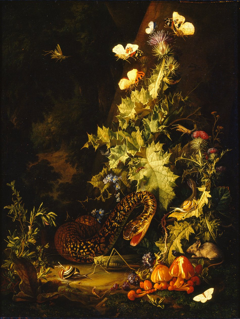 Martwa natura z wężem, początek XVIII wieku autorstwa Elias van den Broeck